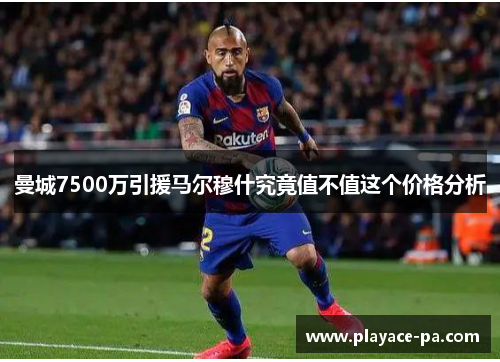 曼城7500万引援马尔穆什究竟值不值这个价格分析 曼城7500万引援马尔穆什究竟值不值这个价格分析