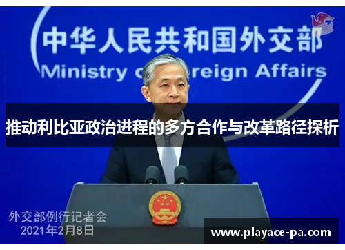 推动利比亚政治进程的多方合作与改革路径探析 推动利比亚政治进程的多方合作与改革路径探析