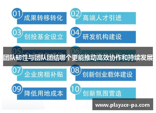 团队韧性与团队团结哪个更能推动高效协作和持续发展