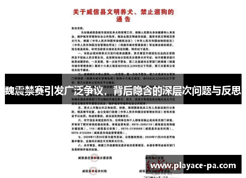 魏震禁赛引发广泛争议,背后隐含的深层次问题与反思 魏震禁赛引发广泛争议,背后隐含的深层次问题与反思