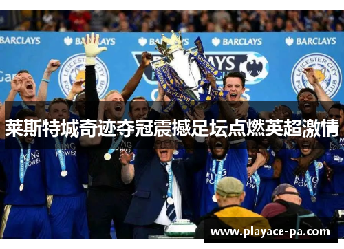 莱斯特城奇迹夺冠震撼足坛点燃英超激情